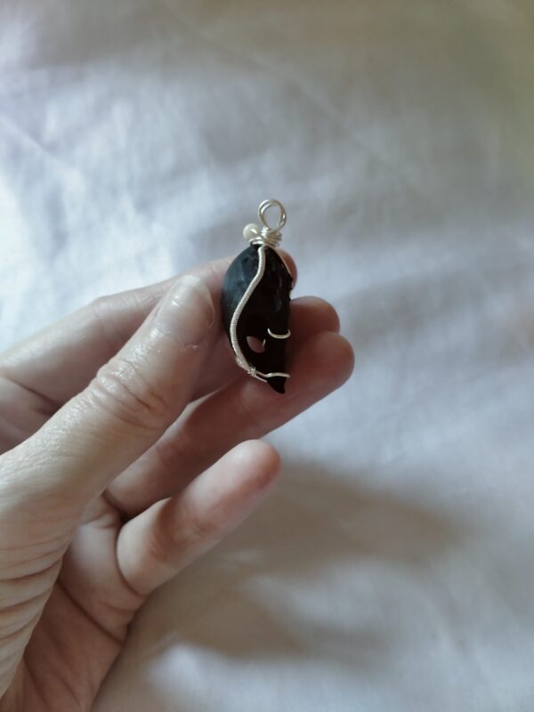 Pendentif Crâne d'oiseau et son diadème – Image 5