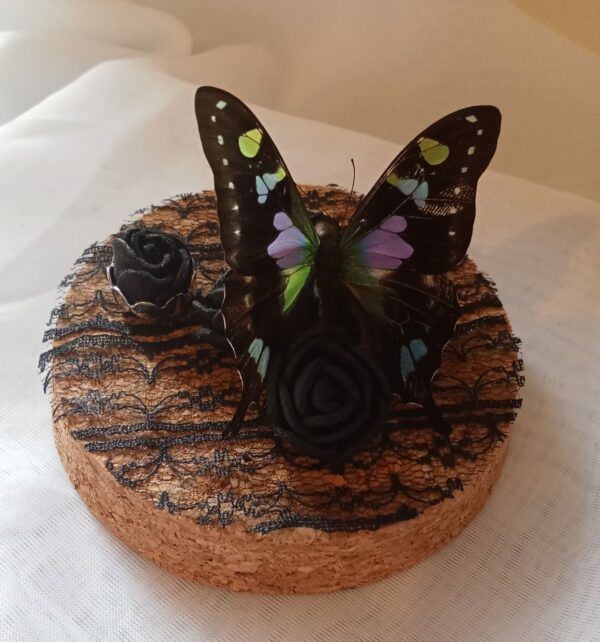 Fiole entomologique d'un Graphium weiskei dans son champ de roses et sa bague