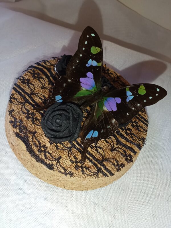 Fiole entomologique d'un Graphium weiskei dans son champ de roses et sa bague – Image 2